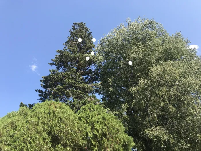 IMG_4213-03-09-19-02-02